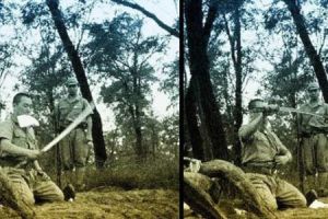 Foto-foto ini tunjukkan ngerinya tradisi bunuh diri di Jepang, duh!