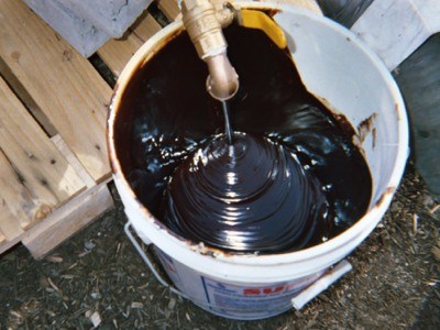 KULINER - 10 Bahan makanan paling aneh di dunia, ada kutu busuk juga. © 2016 brilio.net