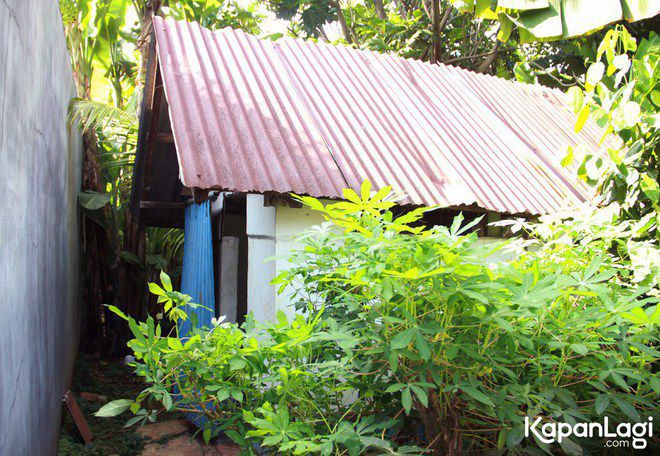 Umah Doel © 2016 brilio.net