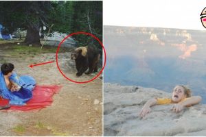 20 Foto ini buktikan liburan keluarga tidak selalu berakhir indah