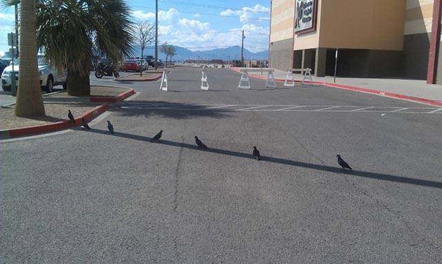 22 Bukti pemanasan global © 2016 brilio.net