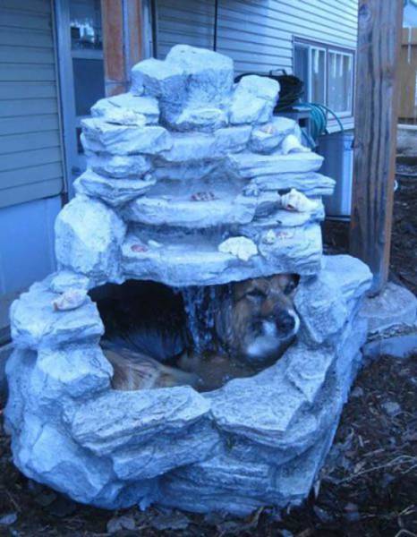 22 Bukti pemanasan global © 2016 brilio.net