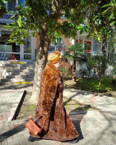 22 Bukti pemanasan global © 2016 brilio.net