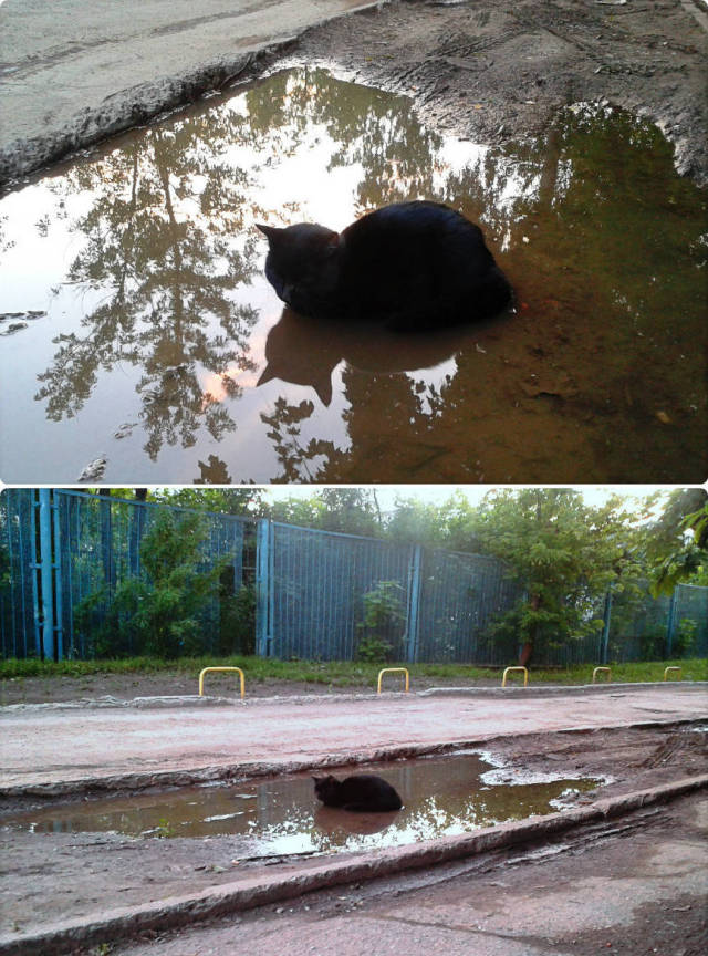 22 Bukti pemanasan global © 2016 brilio.net