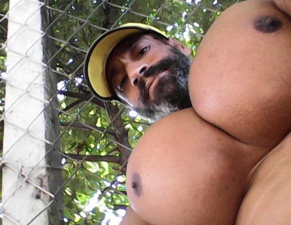 kekar suntikan © 2016 valdirsegato