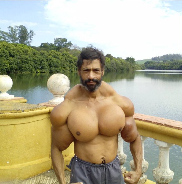 kekar suntikan © 2016 valdirsegato