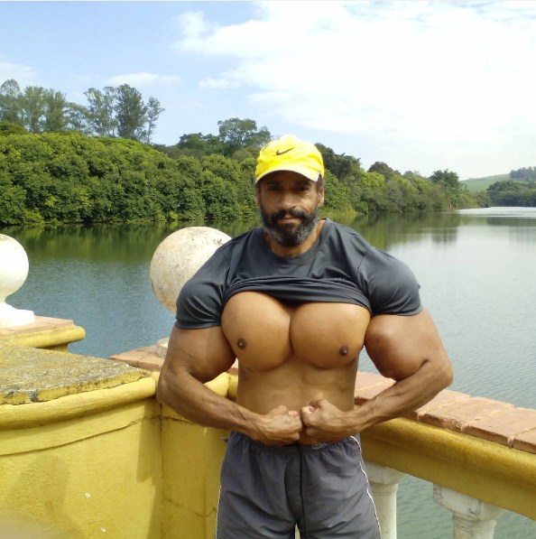 kekar suntikan © 2016 valdirsegato