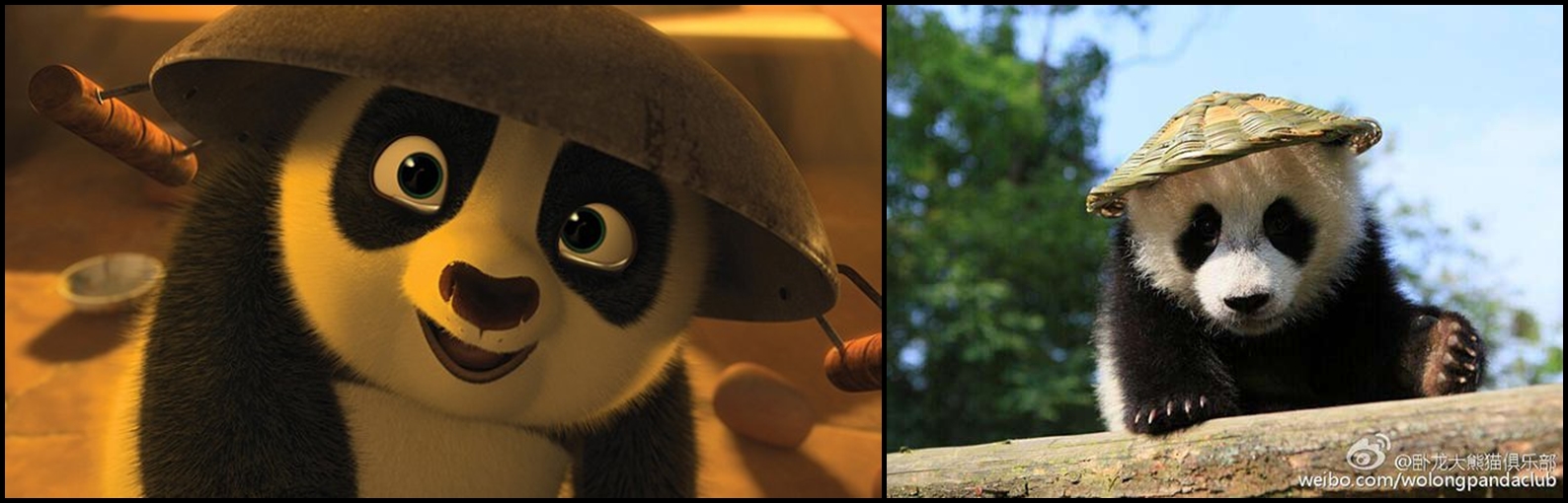 Tak hanya di film, ternyata Po 'Kungfu Panda' ada di dunia nyata