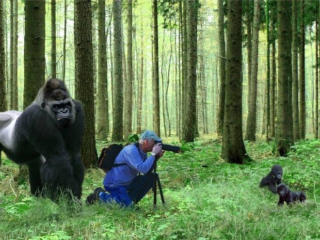 Duhshit © 2016 brilio.net