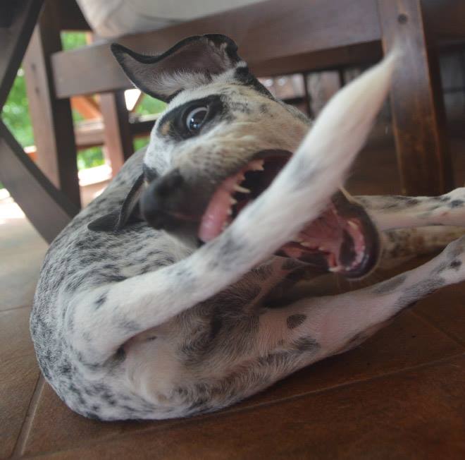 Duhshit © 2016 brilio.net