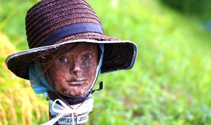 Medisawah © 2016 brilio.net