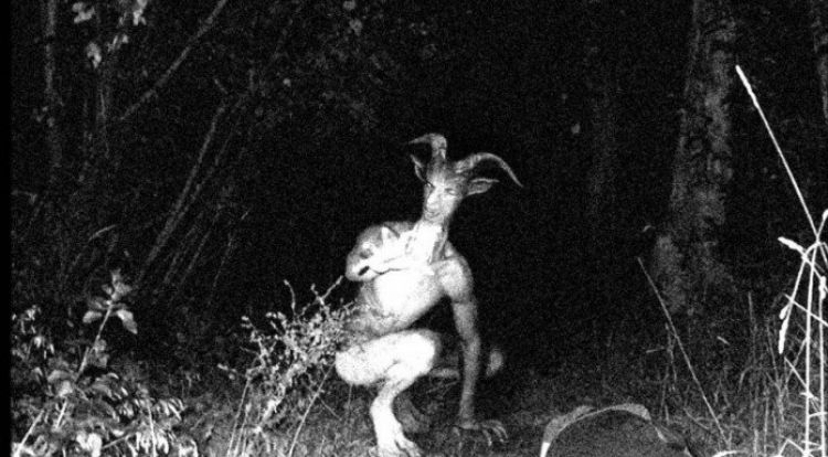 10 Makhluk Misterius Ini Pernah Gegerkan Dunia Tak Jelas Asalnya