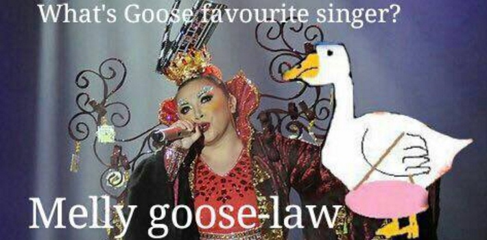 humor goose  © 2016 brilio.net