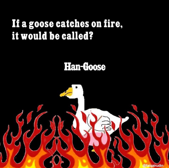 humor goose  © 2016 brilio.net