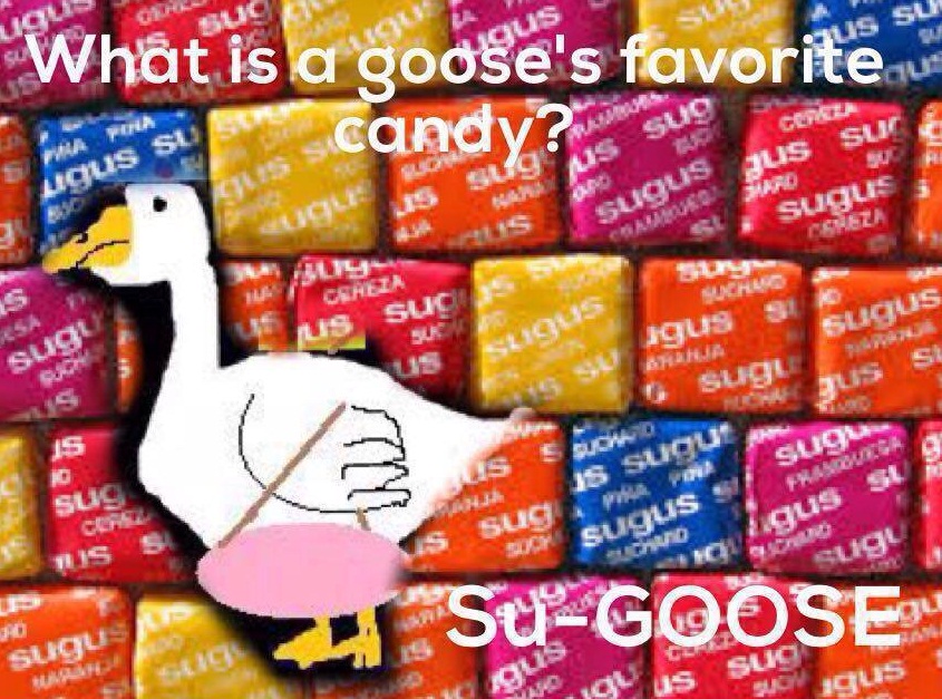 humor goose  © 2016 brilio.net