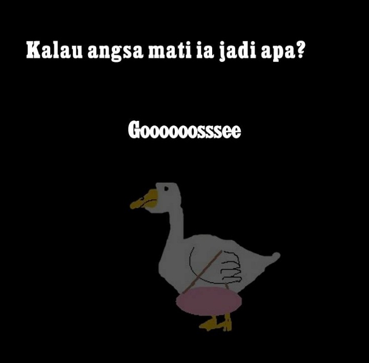 humor goose  © 2016 brilio.net