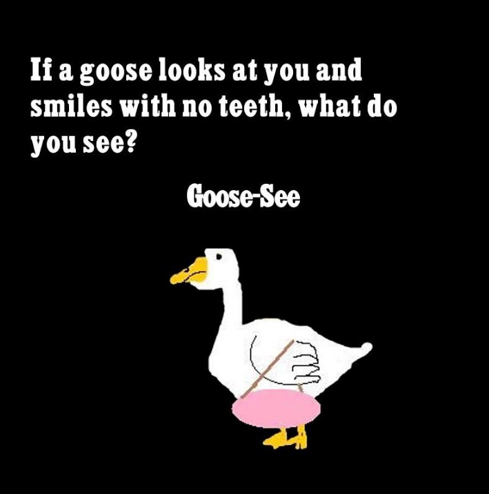 humor goose  © 2016 brilio.net