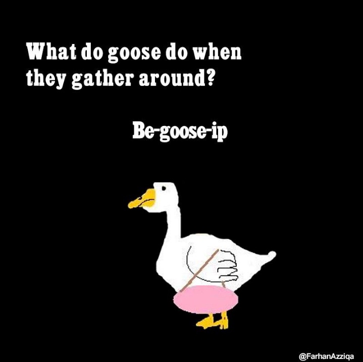 humor goose  © 2016 brilio.net