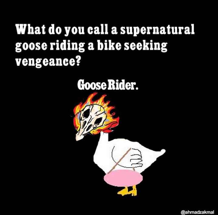 humor goose  © 2016 brilio.net