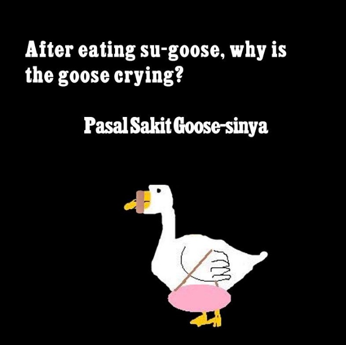 humor goose  © 2016 brilio.net