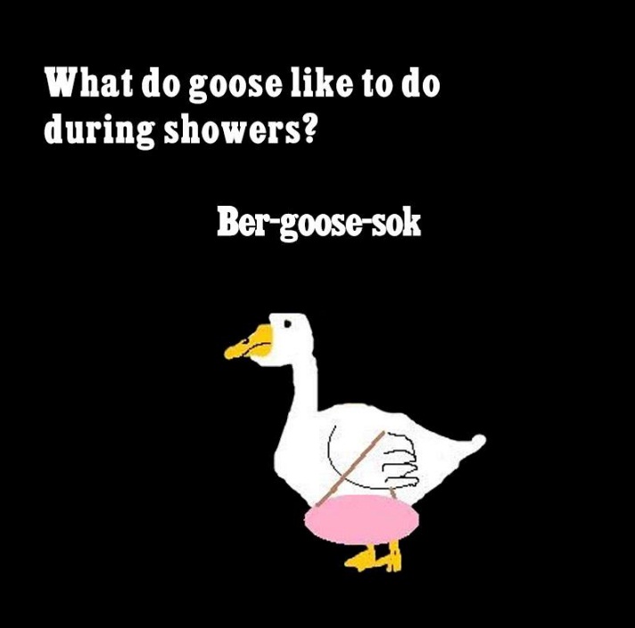 humor goose  © 2016 brilio.net