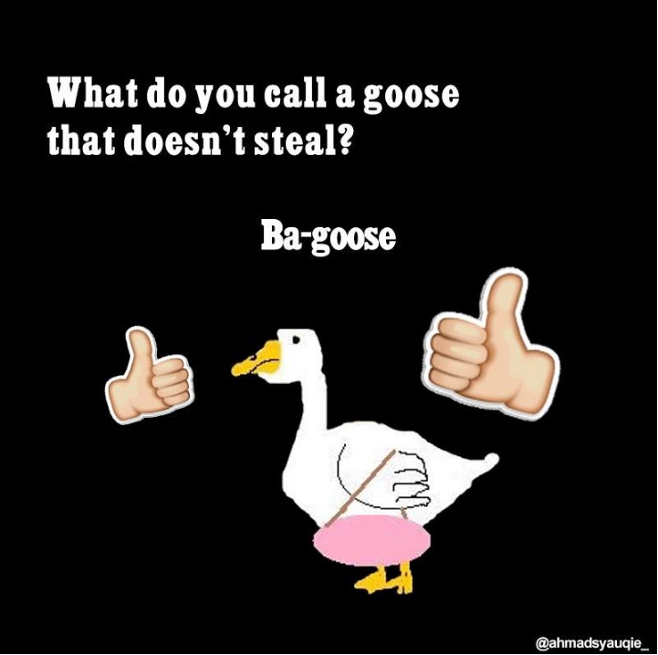 humor goose  © 2016 brilio.net