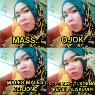 24 meme alis © 2016 brilio.net 24 meme alis © 2016 brilio.net