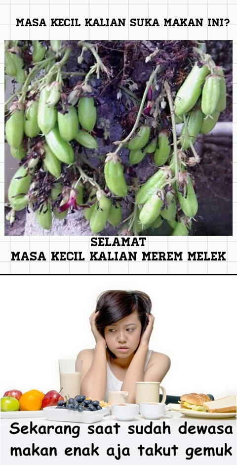 indahnya masa kecil © 2016 brilio.net