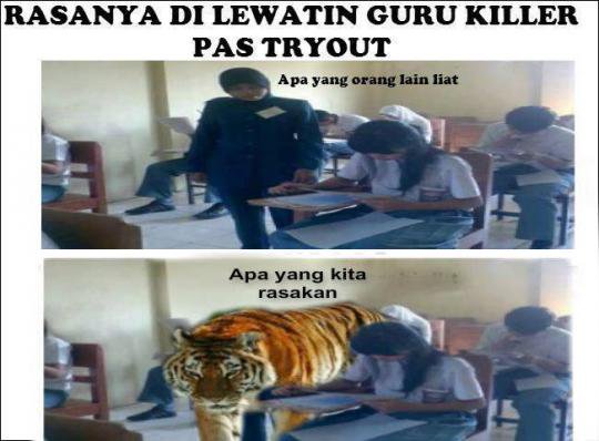 meme guru killer © 2016 brilio.net meme guru killer © 2016 brilio.net