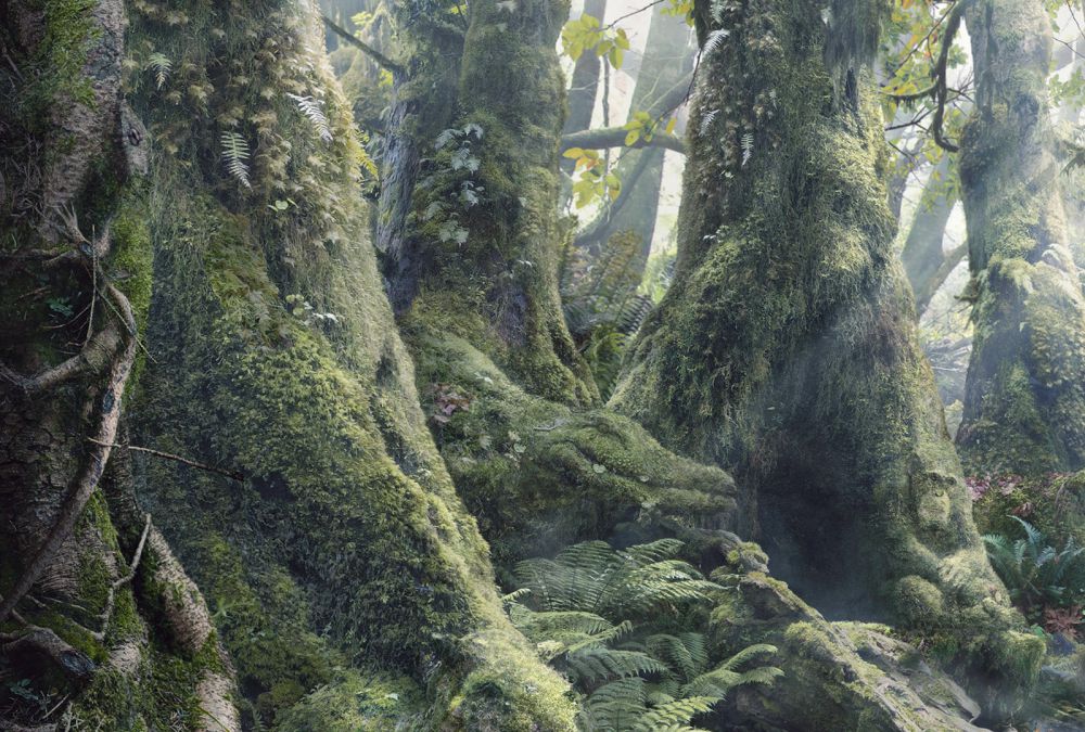 temukan hewan di 13 foto © 2016 brilio.net