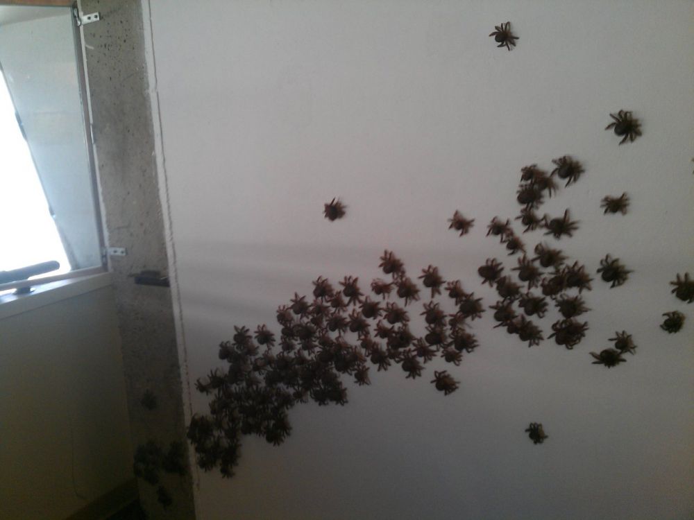 14 Situasi kaget © 2016 brilio.net