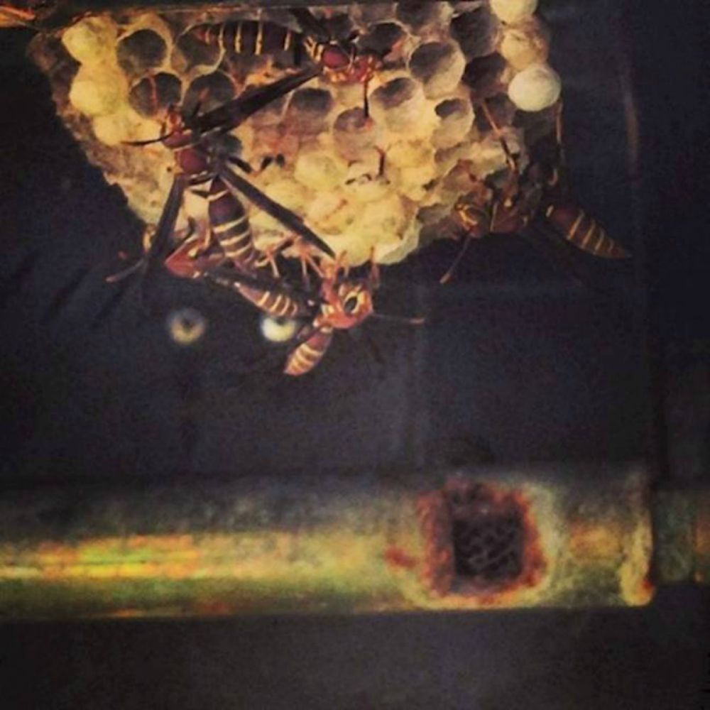 14 Situasi kaget © 2016 brilio.net