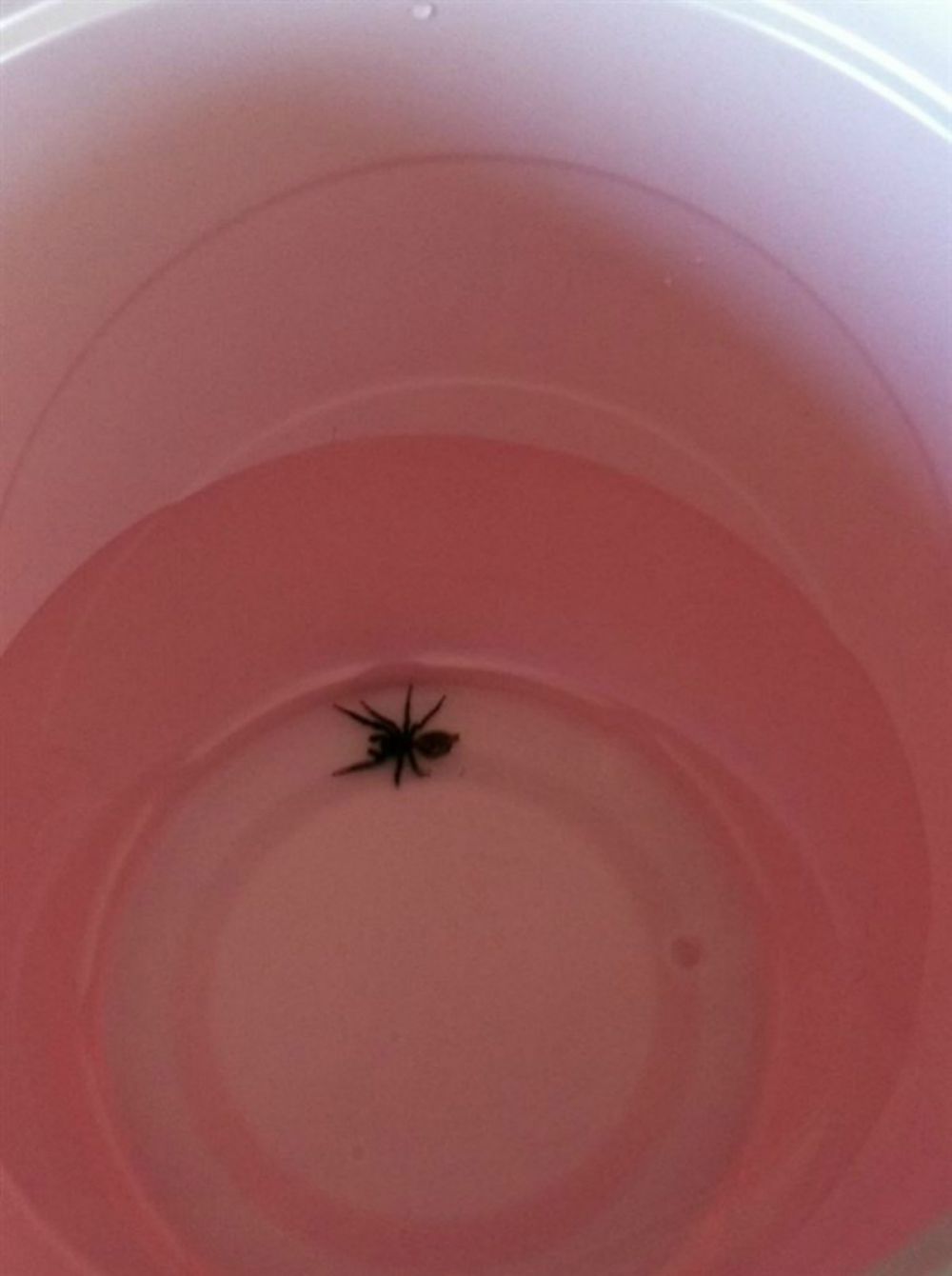 14 Situasi kaget © 2016 brilio.net