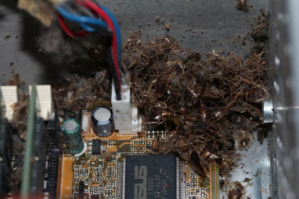 14 Situasi kaget © 2016 brilio.net