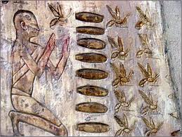 Kuliner - 5 Fakta tak terduga madu, digunakan sebagai alat pembayaran. © 2016 brilio.net