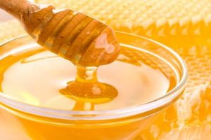 5 Fakta tak terduga madu, tak basi hingga 3.000 tahun lamanya