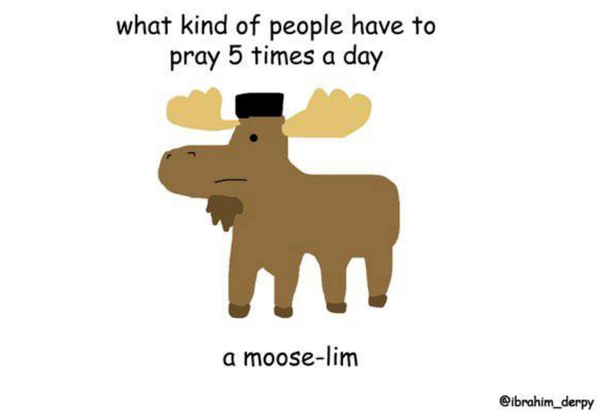 moose lucu  © 2016 brilio.net