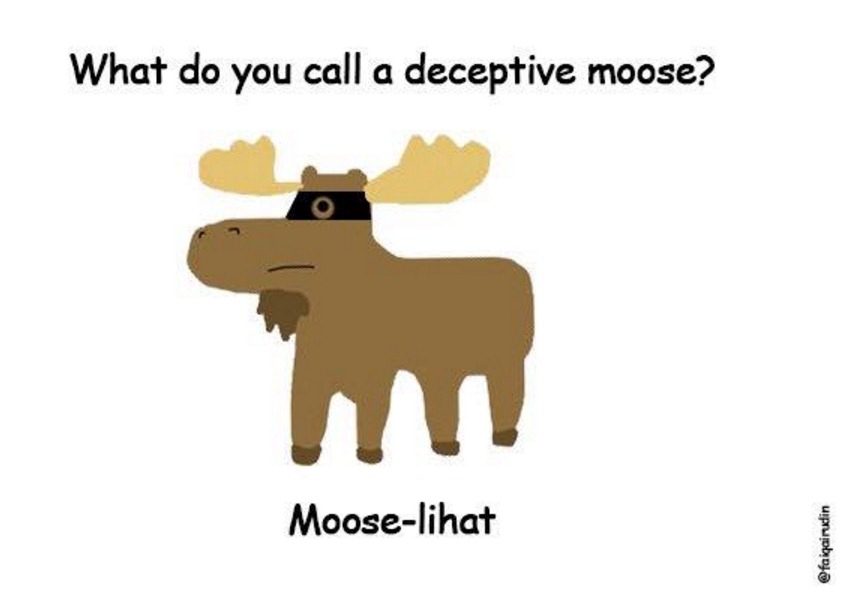 moose lucu  © 2016 brilio.net