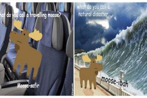 Selain 'goose', 10 tebak-tebakan 'moose' ala Malaysia ini juga kocak!