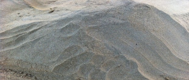 makanan burung  © 2016 brilio.net