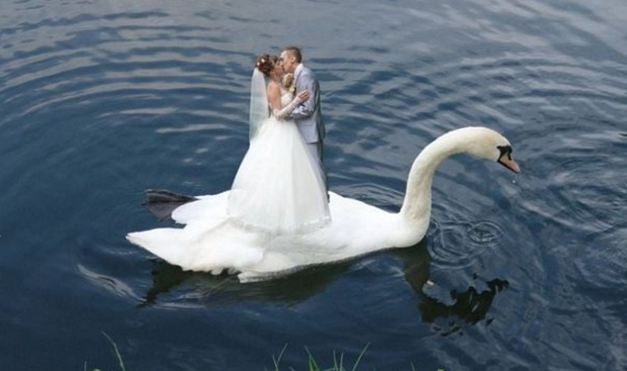 pengantin kocak © 2016 brilio.net pengantin kocak © 2016 brilio.net