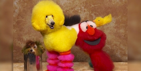 hewan hits syahrini © 2016 brilio.net