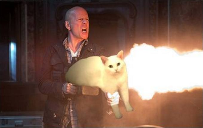 editan foto kucing 1-17 © 2016 brilio.net editan foto kucing 1-17 © 2016 brilio.net