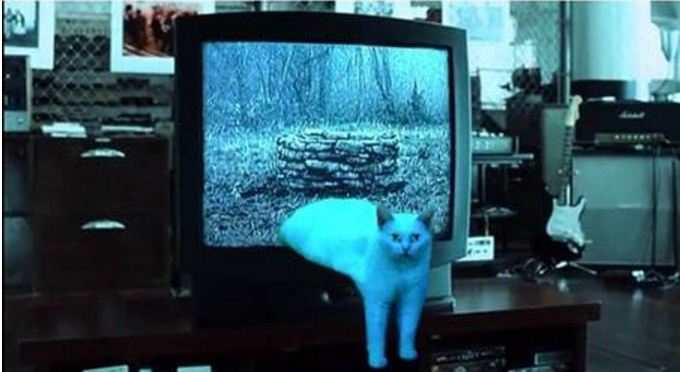 editan foto kucing 1-17 © 2016 brilio.net editan foto kucing 1-17 © 2016 brilio.net