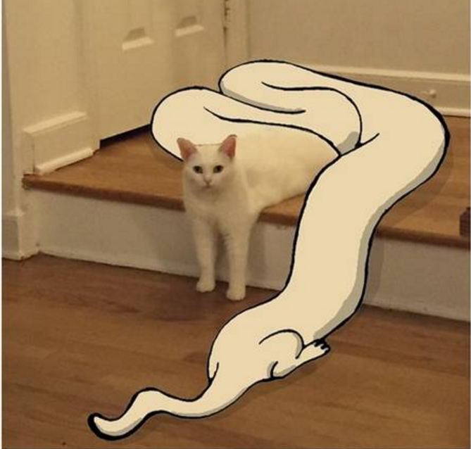 editan foto kucing 1-17 © 2016 brilio.net editan foto kucing 1-17 © 2016 brilio.net