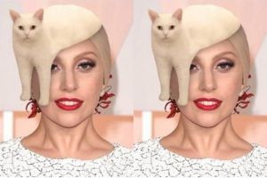 17 Editan foto kucing buatan netizen ini lucu deh!