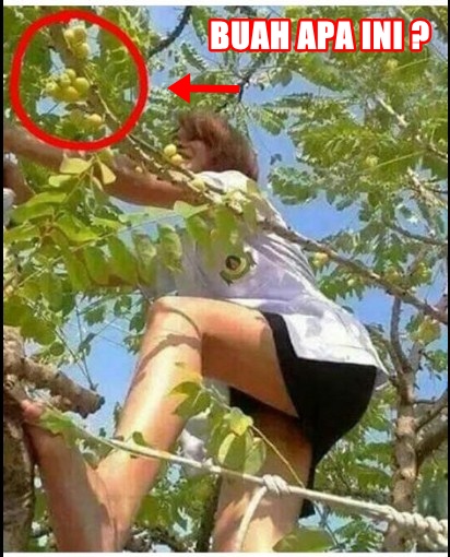 salah fokus © 2016 brilio.net salah fokus © 2016 brilio.net