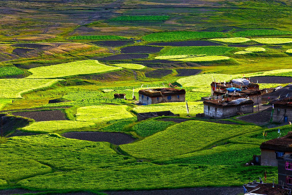 Harmoni Himalaya © 2016 Nakul Photography