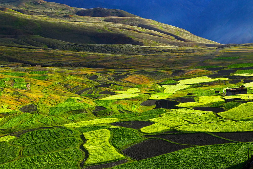 Harmoni Himalaya © 2016 Nakul Photography