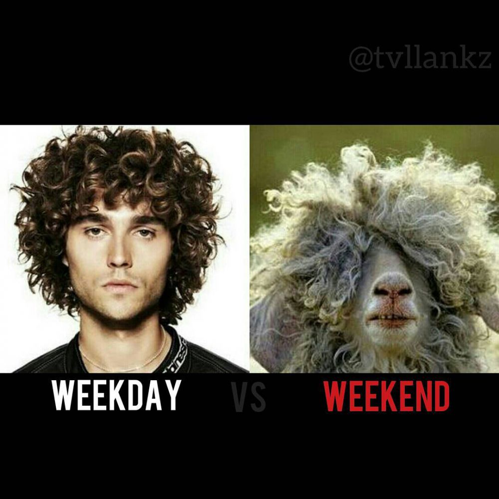 meme weekday vs weekend © 2016 brilio.net meme weekday vs weekend © 2016 brilio.net